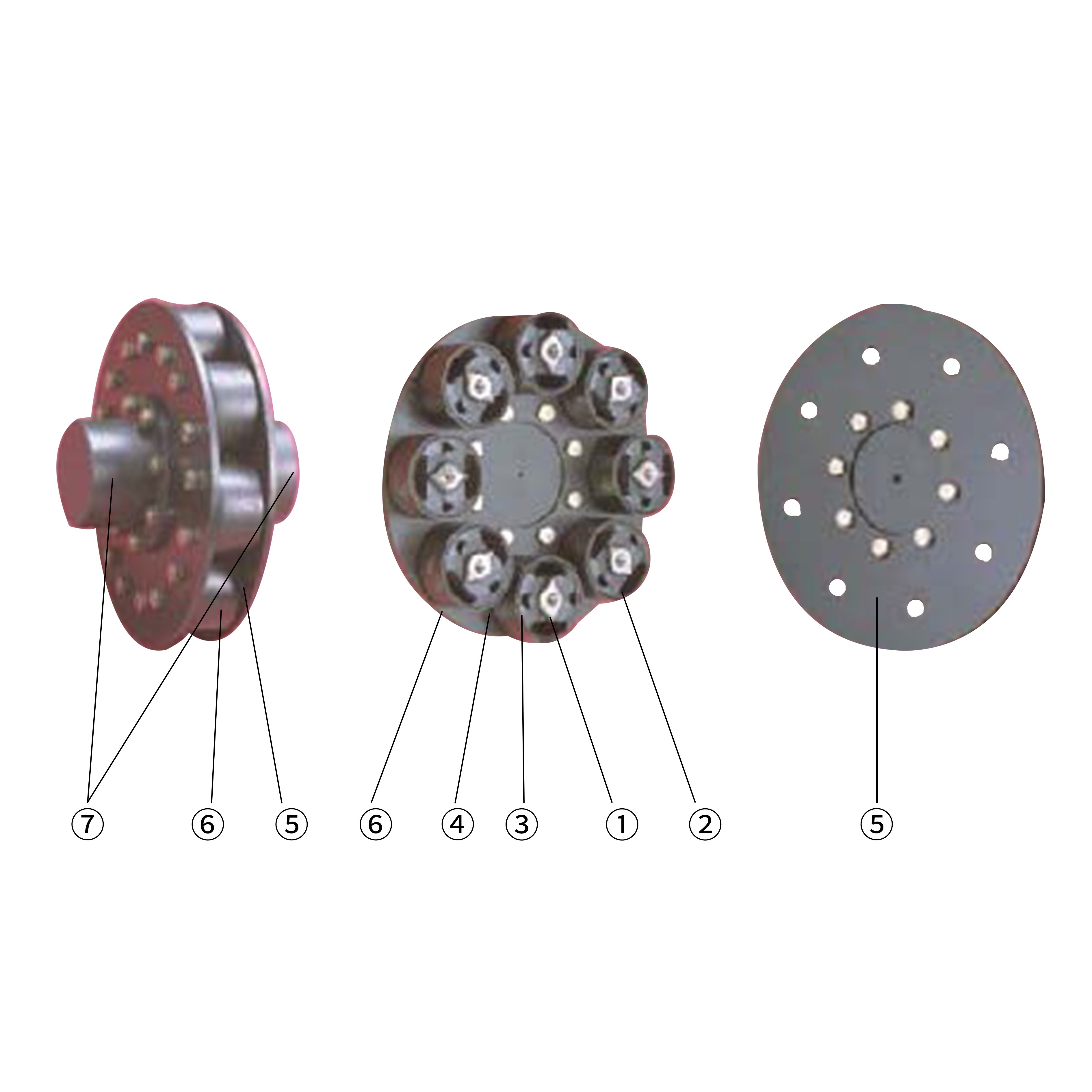 弹性联轴器-Axoflex(图1)