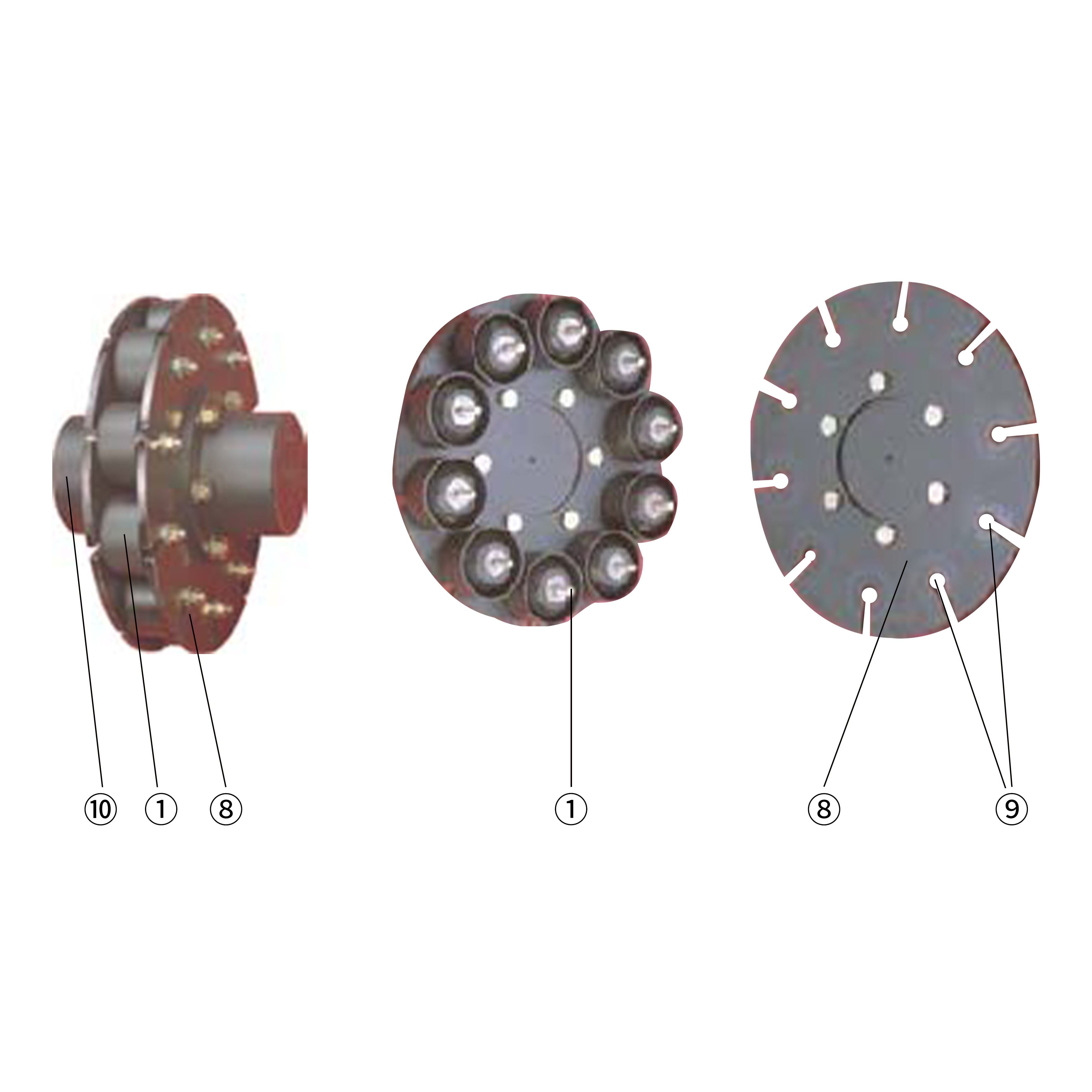 弹性联轴器-Radiaflex-RTP(图1)